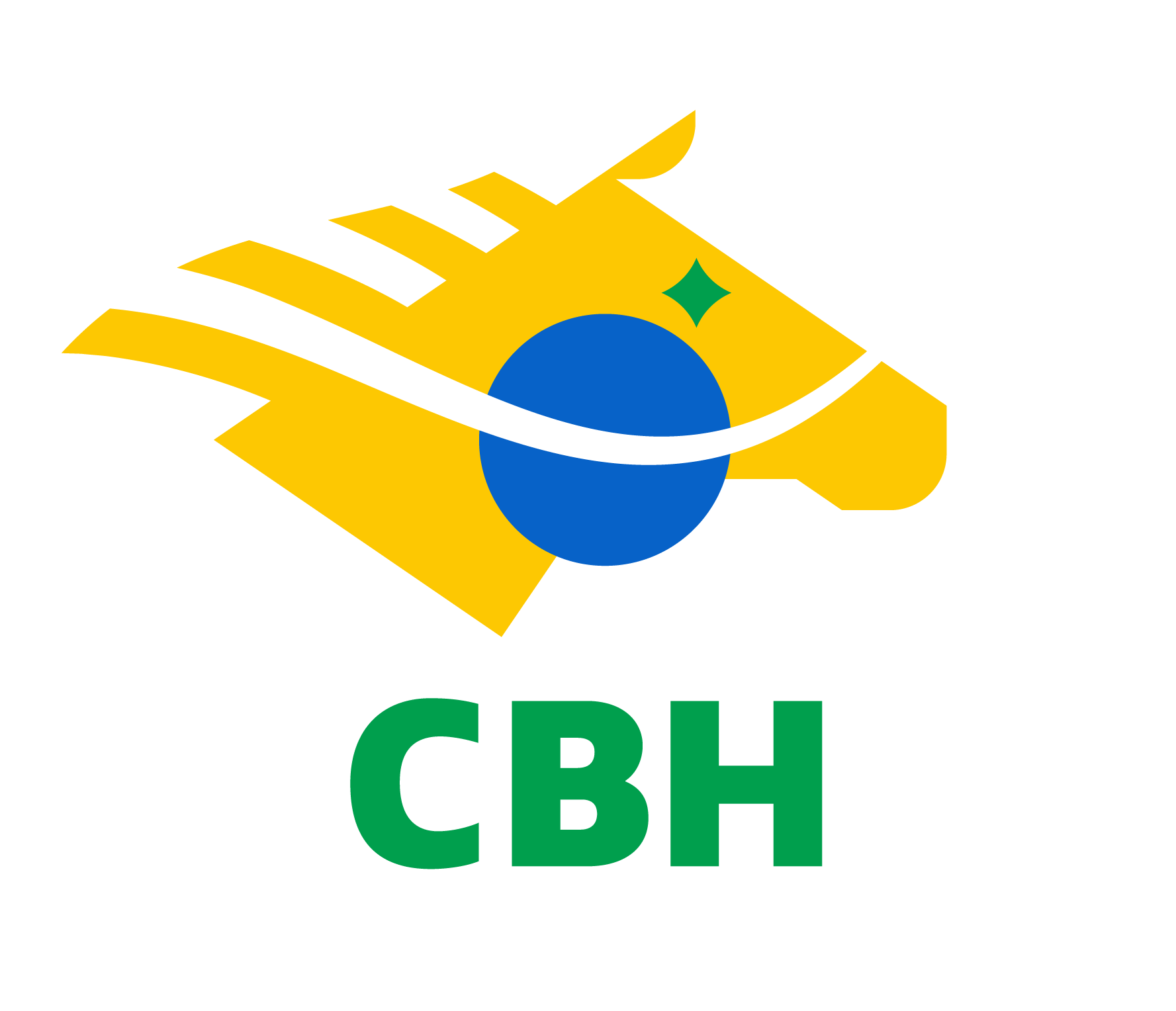 CONFEDERACAO BRASILEIRA DE HIPISMO