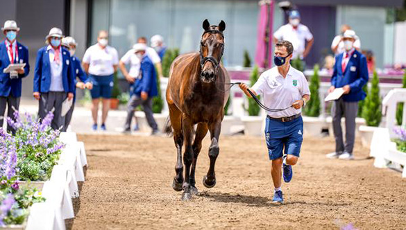 Horse Talks | Marcio Appel, o executivo que virou atleta olímpico