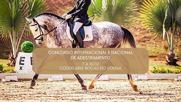 Programa CAN e CDI4* Rocas do Vouga