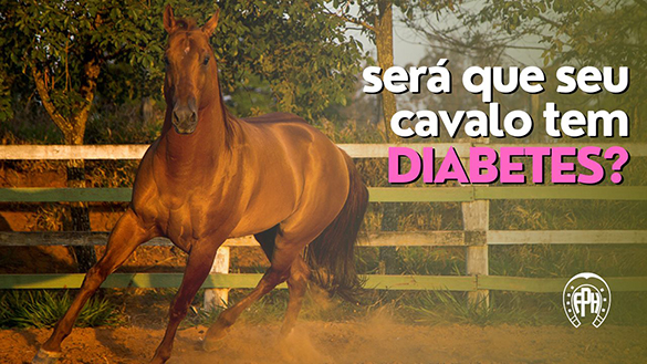Você sabia que seu cavalo pode ter diabetes?