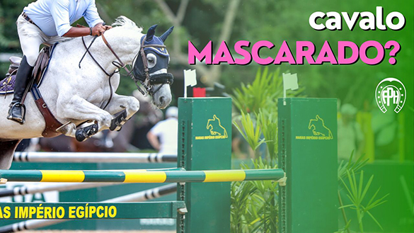 Você já usou máscara calmante no seu cavalo?