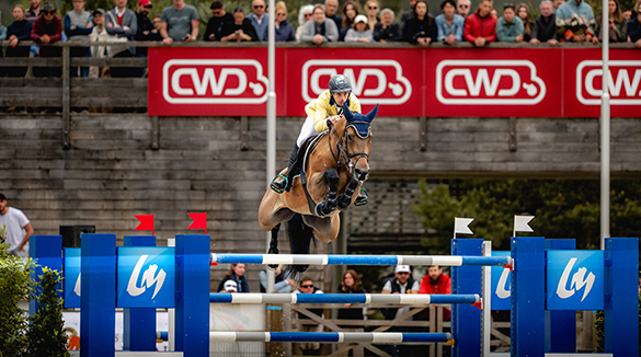 Yuri Mansur e Miss Blue brilham na França e conquistam GP5* em Fontainebleau