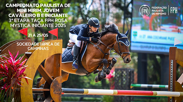 Campeonato Paulista de Mini Mirim, Jovem Cavaleiro B e Iniciante