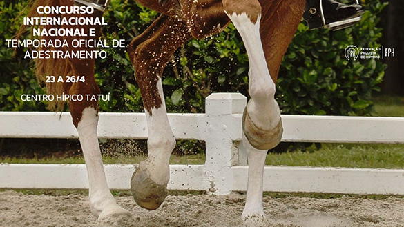 Programa CDI / CAN / TOA