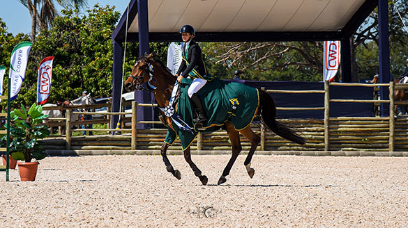 Luiza Guzzardi é campeã no Brasileiro de Salto Iniciante 2026