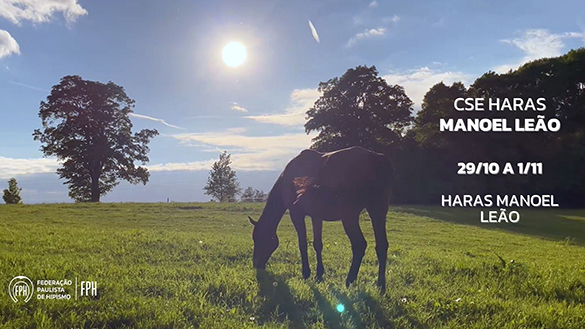 Programa CSE Haras Manoel Leão