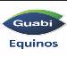 Logo Guabi